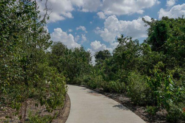 Transforming Texas: 50 Community Parks to Receive Upgrades from Historic Grant Funding