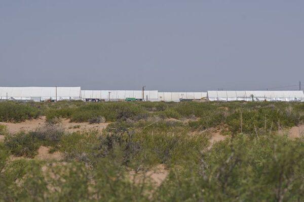Cuban Immigrant's Death Declared Homicide in Texas ICE Facility: Latest Report