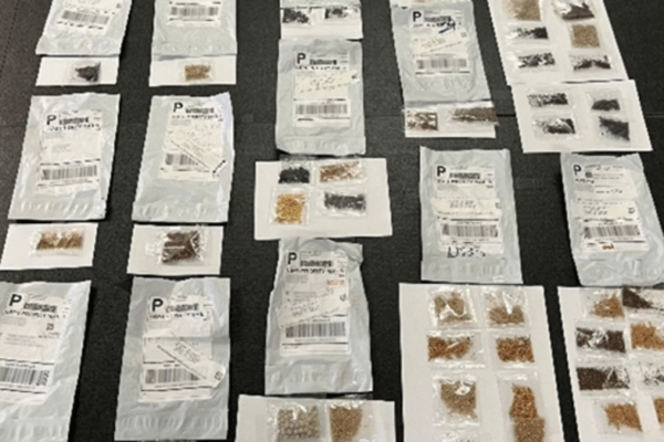 Texans Advised Against Planting Mysterious Seed Packets from Unknown Sources
