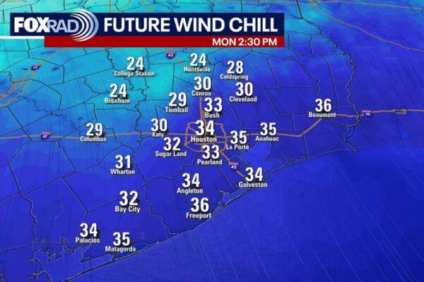 Houston Weather Forecast: Freezing Temperatures and a Chilly Weekend Ahead!