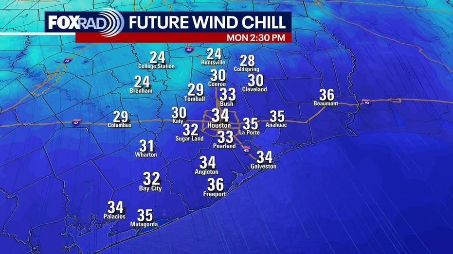Houston Weather Forecast: Freezing Temperatures and a Chilly Weekend Ahead!