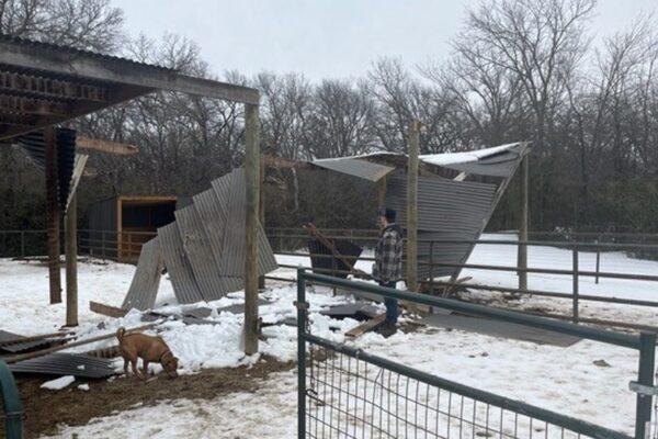 Texas Winter Storm: Argyle Equine Therapy Center Seeks Support for Roof Repairs After Severe Damage