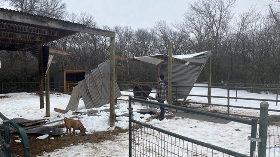 Texas Winter Storm: Argyle Equine Therapy Center Seeks Support for Roof Repairs After Severe Damage