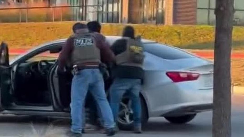 Hays County Officials Condemn Federal ICE Raids for "Complete Lack of Respect"