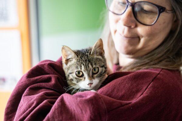 Hundreds of Austin Pets Rescued and Fostered Before the Winter Freeze