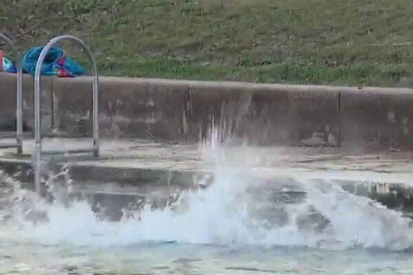 Join Thousands for the Thrilling Polar Bear Plunge at Barton Springs Pool!
