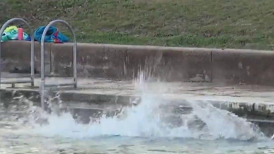 Join Thousands for the Thrilling Polar Bear Plunge at Barton Springs Pool!