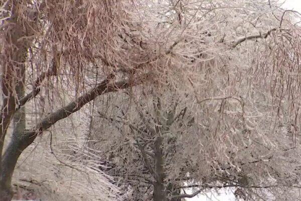Austin Energy Readies for Upcoming Arctic Blast: Texas Winter Weather Preparedness