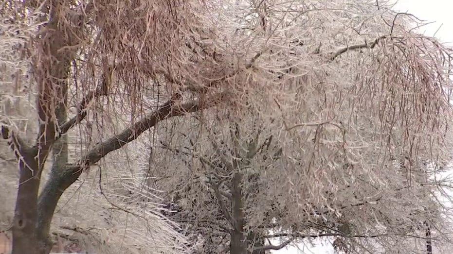 Austin Energy Readies for Upcoming Arctic Blast: Texas Winter Weather Preparedness