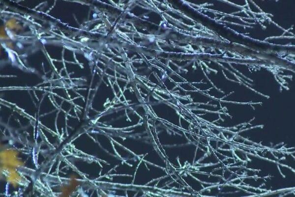 Extreme Cold Warning in Austin: Hazardous Road Conditions Persist