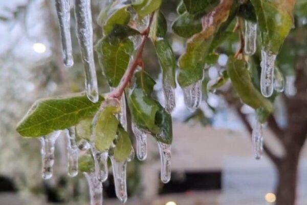Austin Cold Weather Shelters Serve Over 850 Individuals During Severe Winter Storm