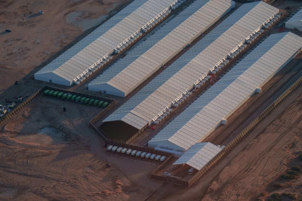 Two Tuberculosis Cases Identified at El Paso ICE Facility: What You Need to Know