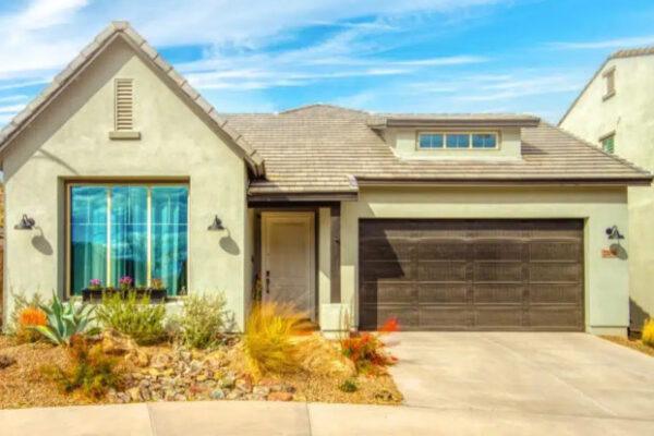 Understanding the Termite Problem: Why Arizona Homes Are Prone to Infestations