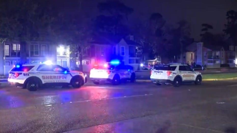 17 Year Old Charged in Hit and Run Fatality of Man in East Harris County
