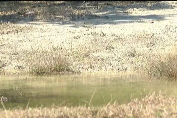 Hays County Leaders Address Rising Water Emergency Concerns