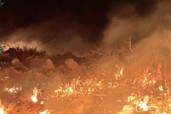 Nebo Mountain Fire in Gillespie County Consumes Over 1,000 Acres: Latest Updates and Impact