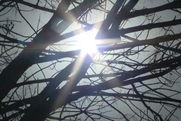North Texans Embrace Outdoor Fun Despite Near Record Heat