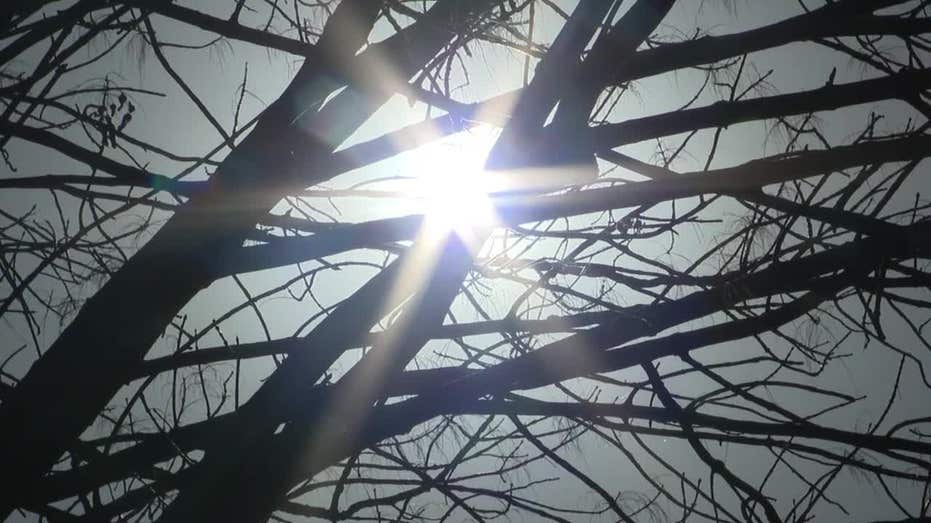 North Texans Embrace Outdoor Fun Despite Near Record Heat