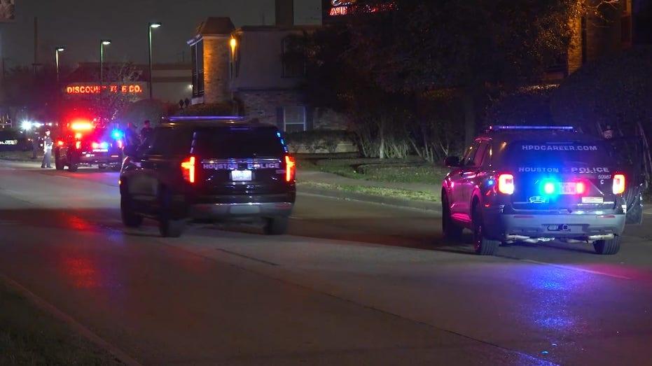 Houston Heights Tragedy: Woman Murdered, Suspect Captured After Dramatic Chase