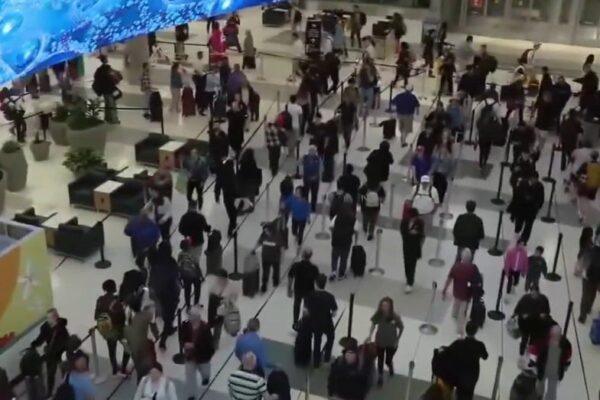Houston Travelers Opt for Road Trips as Long TSA Lines Cause Delays