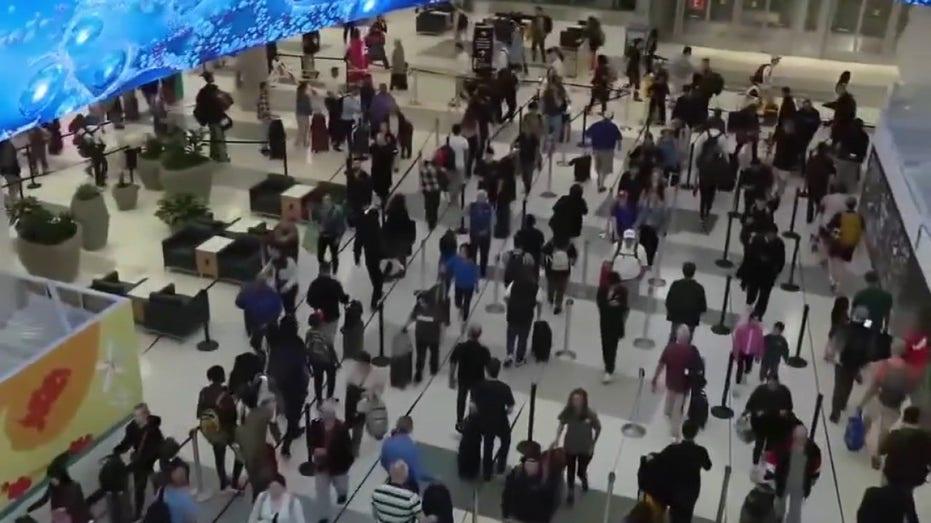Houston Travelers Opt for Road Trips as Long TSA Lines Cause Delays