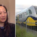 DART CEO Highlights "Political Hurdles" in Resignation Announcement