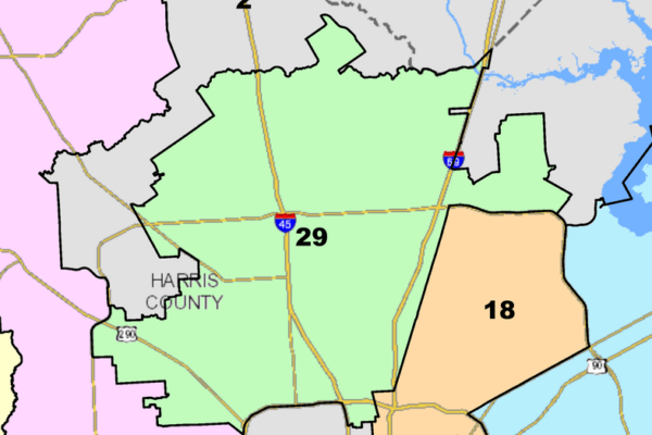 Sylvia Garcia Set to Triumph in Texas District 29 Democratic Primary Race