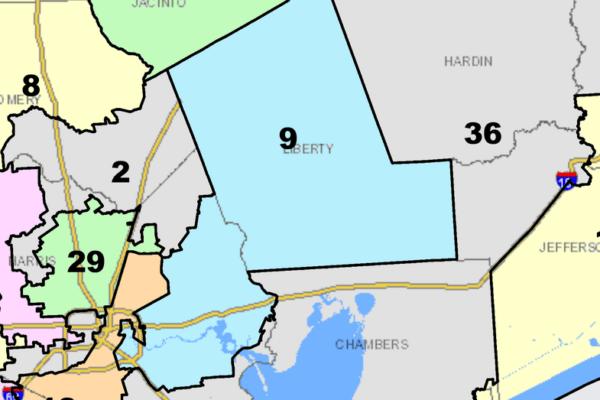 Texas 9th Congressional District Primary Election Results: Key Insights and Analysis