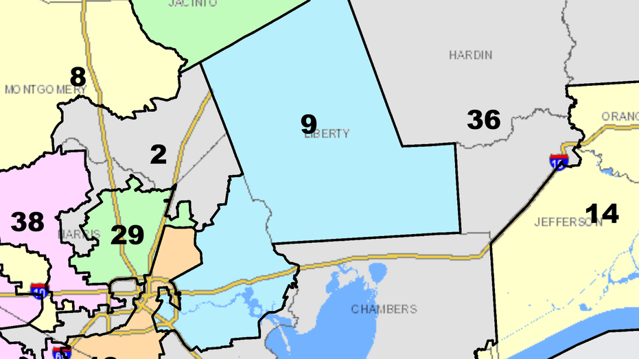 Texas 9th Congressional District Primary Election Results: Key Insights and Analysis