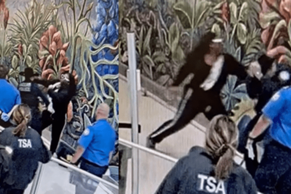 Man Charged with Assaulting Officers at Dallas Airport Over ID Dispute
