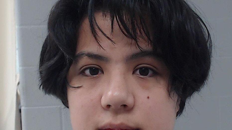 Ambush Trial at Alvarado ICE Facility: Witness Reveals Antifa Beliefs and Alleged Shooter's Concealment Assistance