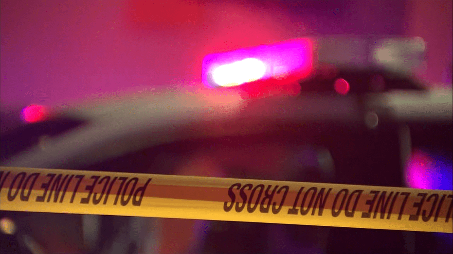 Dallas Stabbing Incident: Six Injured Near White Rock Lake