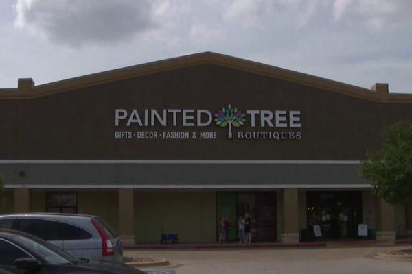 Central Texas Entrepreneurs Seek Solutions Following Painted Tree Boutique Closures