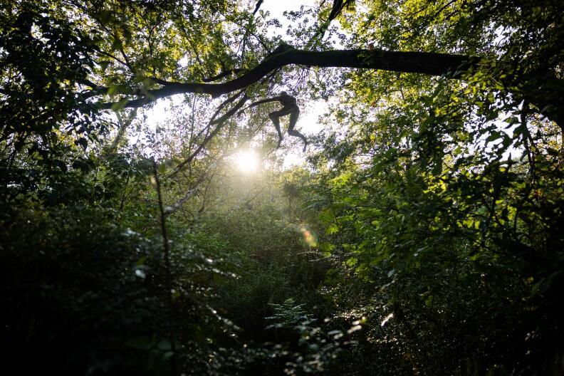 Uncovering the Mysterious Sculpture in Barton Creek Greenbelt: Its Fascinating Story Revealed