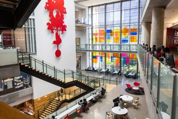 Discover 8 Free Resources Available at Austin's Public Libraries, as Suggested by Library Staff