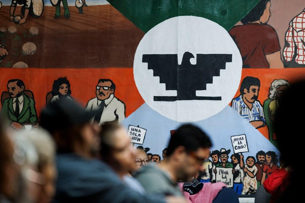 Pro Immigration Advocates Face Challenges Amid Trump's Immigration Crackdown
