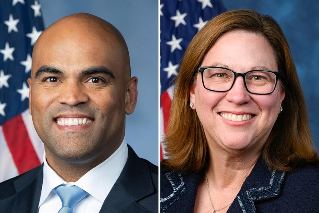 Everything You Need to Know About the Texas 33rd Congressional District Democratic Runoff Candidates