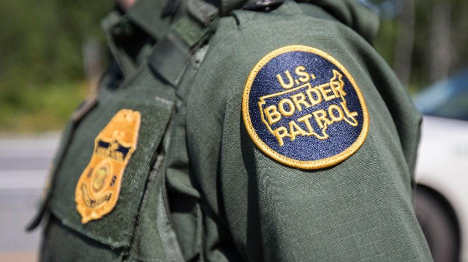 Texas Border Patrol Agent Admits Guilt in Taxpayer Fraud Scheme