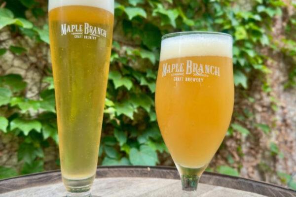 Refreshing Lemon, Lime & Lager: The Ultimate Summer Drink Recipe