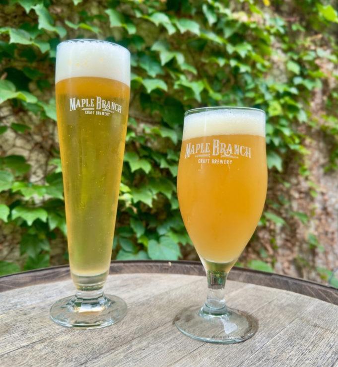 Refreshing Lemon, Lime & Lager: The Ultimate Summer Drink Recipe