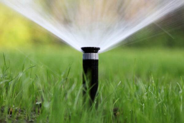 Avoid These 5 Common Summer Plumbing Mistakes Made by North Texas Homeowners
