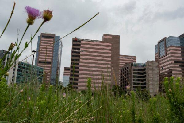 Texas Children's Hospital to Launch Nation's First Detransition Clinic Following Legal Settlement