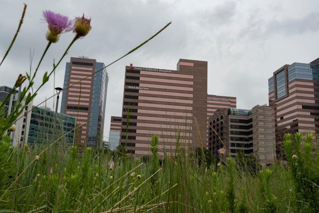 Texas Children's Hospital to Launch Nation's First Detransition Clinic Following Legal Settlement