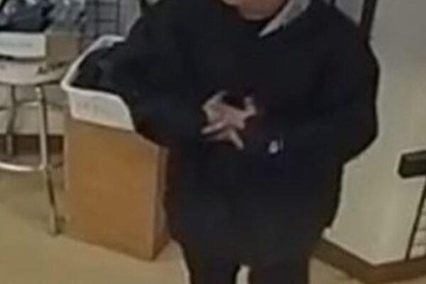 Austin Police Hunt for Suspect in Weekend's Series of Random Shootings