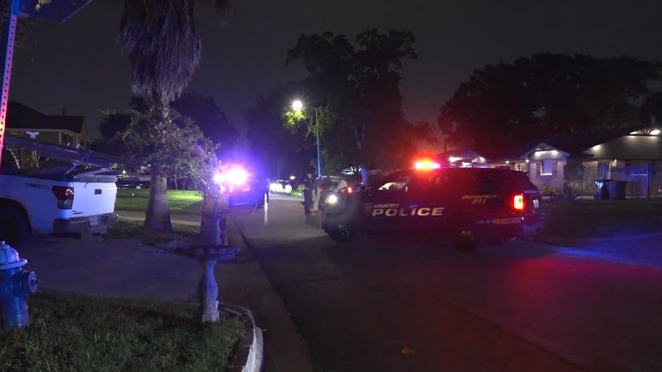 Houston Flamingo Drive: Woman Arrested for Stabbing Family Member in Shocking Incident