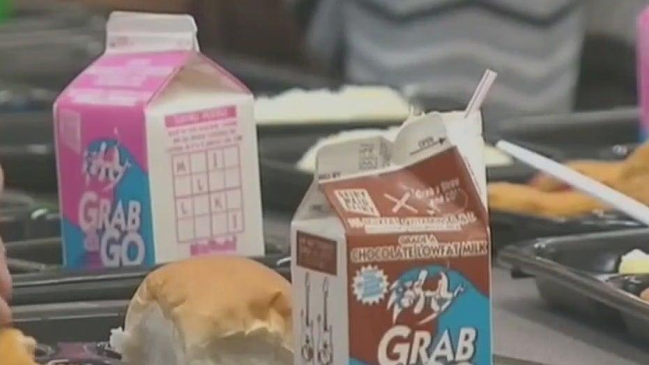 Discover Free Summer Meal Programs for Your Child: Locations and Details