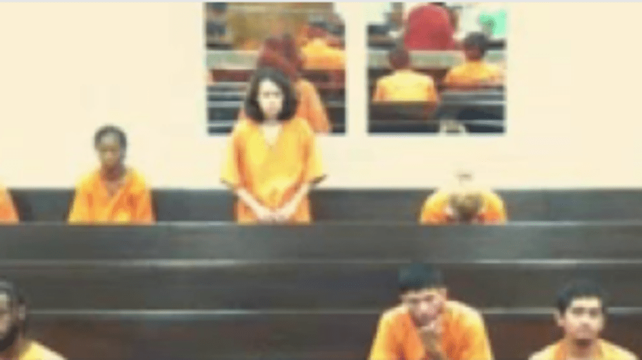 Deer Park Woman Faces Charges in Shocking Animal Cruelty Case