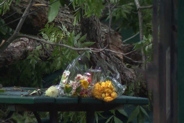 Man Fatally Struck by Lightning Hit Tree While Dining on Austin Restaurant Patio