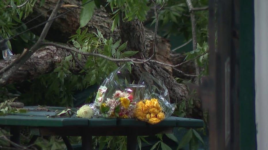 Man Fatally Struck by Lightning Hit Tree While Dining on Austin Restaurant Patio