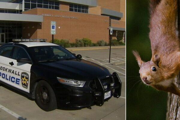 Squirrel Shooter in Rockwall Triggers Lockdown at Elementary School